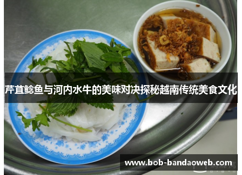 芹苴鲶鱼与河内水牛的美味对决探秘越南传统美食文化